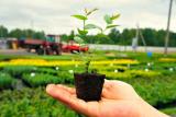 Продам: посевные материалы и средства защиты растений... Оголошення Bazarok.ua