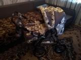 Продам детскую коляску в отличном состоянии... Оголошення Bazarok.ua