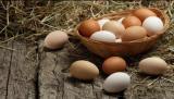 Продаж курячих яєць... Оголошення Bazarok.ua