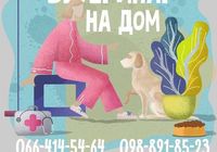 Ветеринар на дом в Харькове... Оголошення Bazarok.ua
