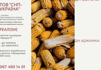 Насіння кукурудзи... Оголошення Bazarok.ua