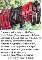 кожаные ошейники для собак... Объявления Bazarok.ua