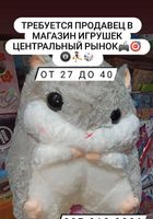 Требуется продавец в магазин-игрушек... Объявления Bazarok.ua