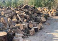 Продаем дрова дубовые ... Объявления Bazarok.ua