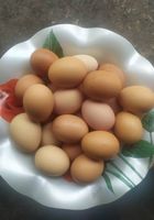 Яйця курячі... Оголошення Bazarok.ua