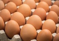 Инкубационные яйца... Оголошення Bazarok.ua