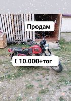Продам... оголошення Bazarok.ua