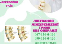 Лікування міжхребцевої грижі... Оголошення Bazarok.ua
