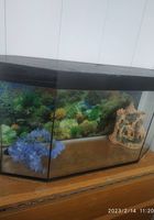 Продам аквариум... Оголошення Bazarok.ua