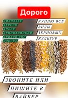 Куплю зерновые культуры. Дорого... Объявления Bazarok.ua