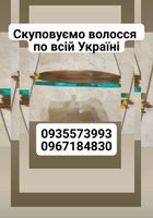 Продать волосы, куплю волосся -0935573993... Объявления Bazarok.ua