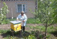 Продам якісний мед з власної пасіки ( різнотрав'я )... Оголошення Bazarok.ua