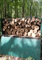 Продам дрова твердых пород... Оголошення Bazarok.ua
