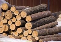 Продам дрова дуб сосна... оголошення Bazarok.ua
