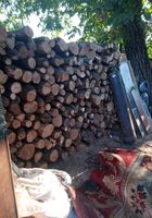 Продажа дров,дуб и я сень... Оголошення Bazarok.ua