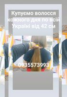 Продать волосы, продати волосся дорого -0935573993... Объявления Bazarok.ua