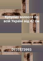 Продать волоси, куплю волося по всій Україні від 42... Оголошення Bazarok.ua
