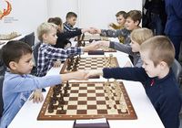 Обучение детей шахматам. Групповые, индивидуальные занятия. Онлайн. Вайбер.... Объявления Bazarok.ua