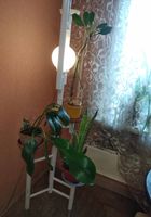 Подставка -светильник от пола до потолка на 9 вазонов... Объявления Bazarok.ua