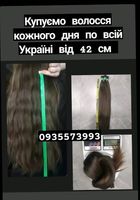 Продать волосы, продати волосся дорого по всій -0935573993... Оголошення Bazarok.ua