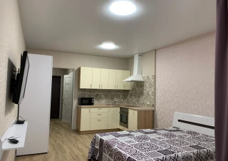 Квартира 1-кімн. оренда Киев, Днепровский &ndash; 17 м&sup2;... Оголошення Bazarok.ua