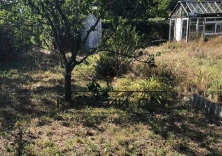 Земельна ділянка продаж Зазим'я... Оголошення Bazarok.ua