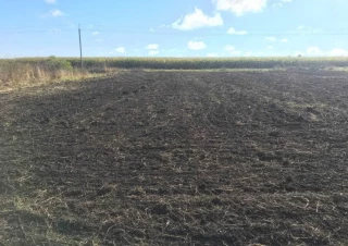 Земельна ділянка продаж Кодня... Оголошення Bazarok.ua