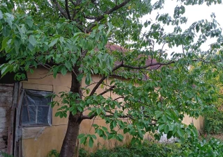 Земельна ділянка продаж Житомир... Оголошення Bazarok.ua