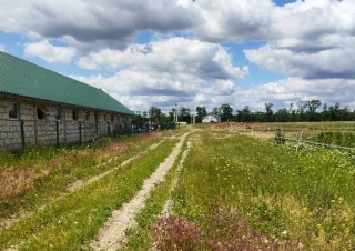 Земельна ділянка продаж Тарасовка... Объявления Bazarok.ua